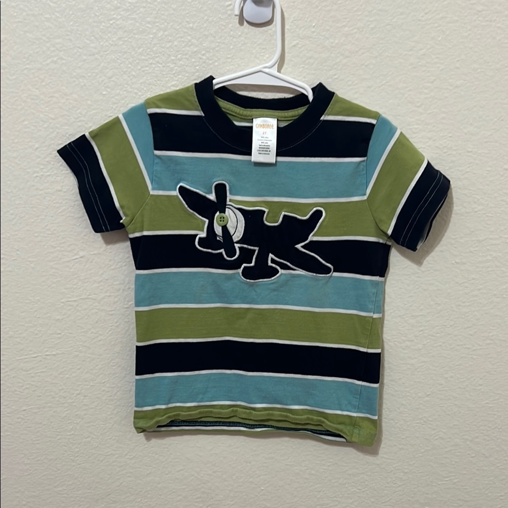 Gymboree Green and Blue Striped Tee with Playful Graphic
